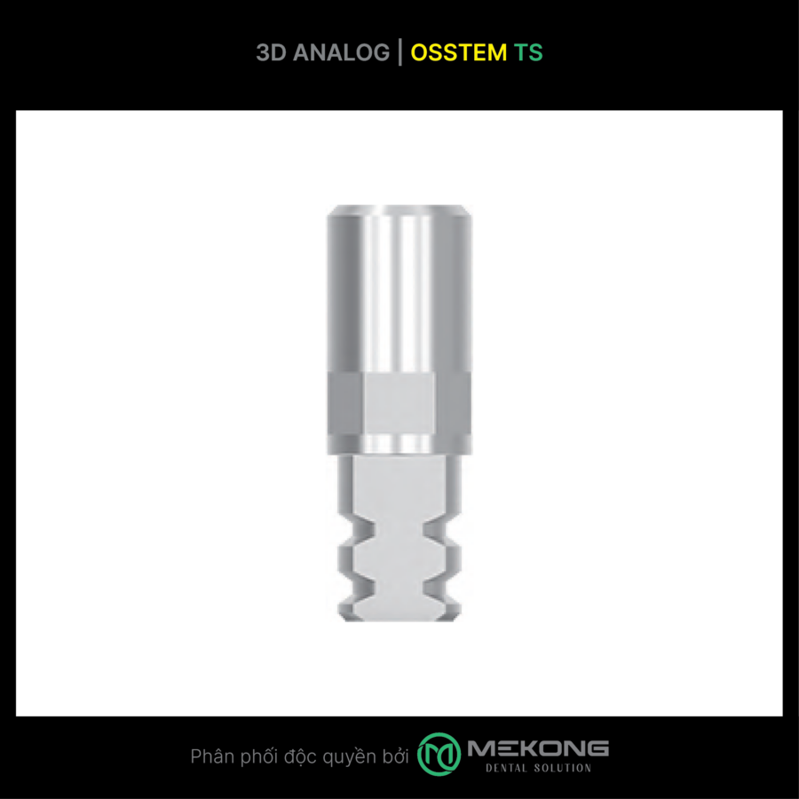 3D-Analog 3D Analog Osstem TS