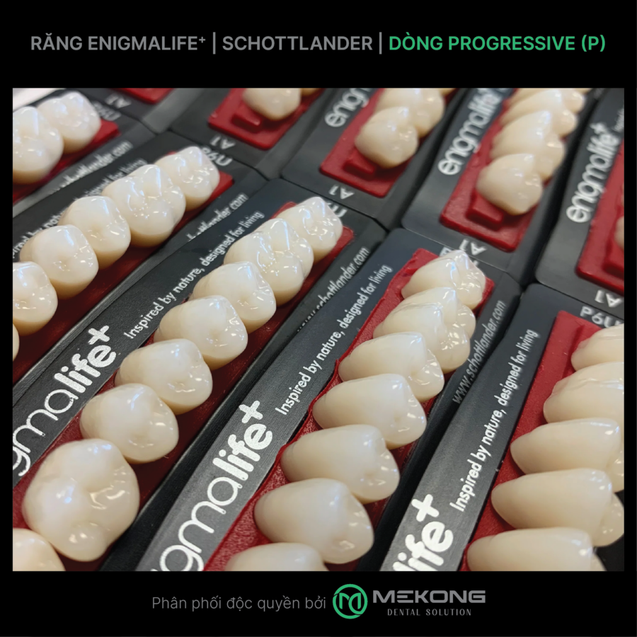 Răng tháo lắp RĂNG ENIGMALIFE⁺ | SCHOTTLANDER | DÒNG PROGRESSIVE (P)