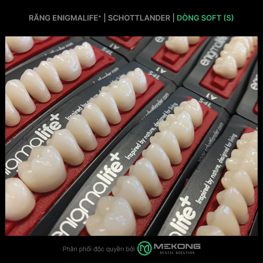 Răng tháo lắp RĂNG ENIGMALIFE⁺ | SCHOTTLANDER | DÒNG SOFT (S)