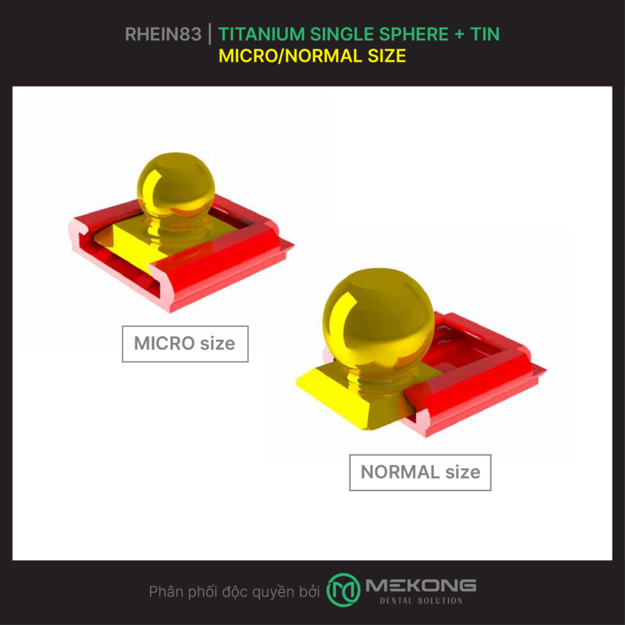 Overdenture OT Cap RHEIN83 | Titanium Single Sphere + Tin