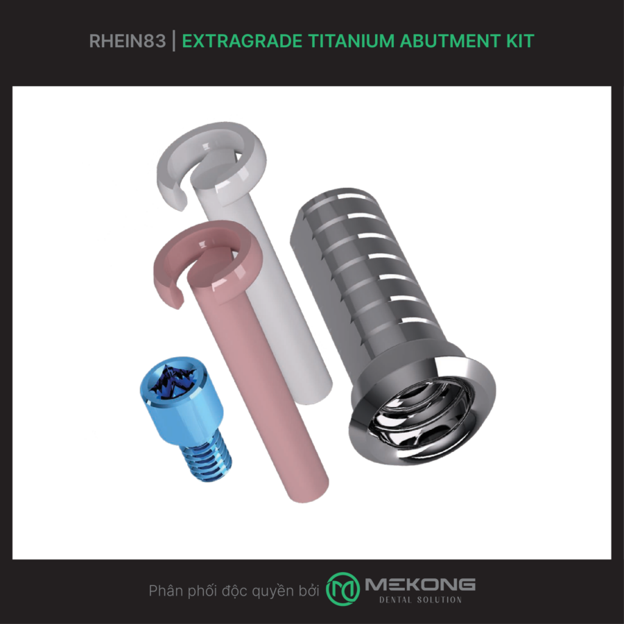 Fixed Prosthesis OT Bridge RHEIN83 | Extragrade Titanium Abutment Kit