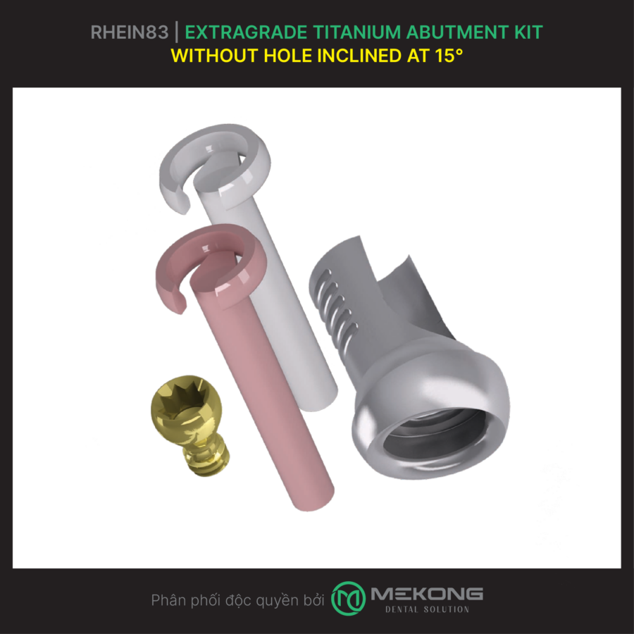 Fixed Prosthesis OT Bridge RHEIN83 | Extragrade Titanium Abutment Kit at 15°