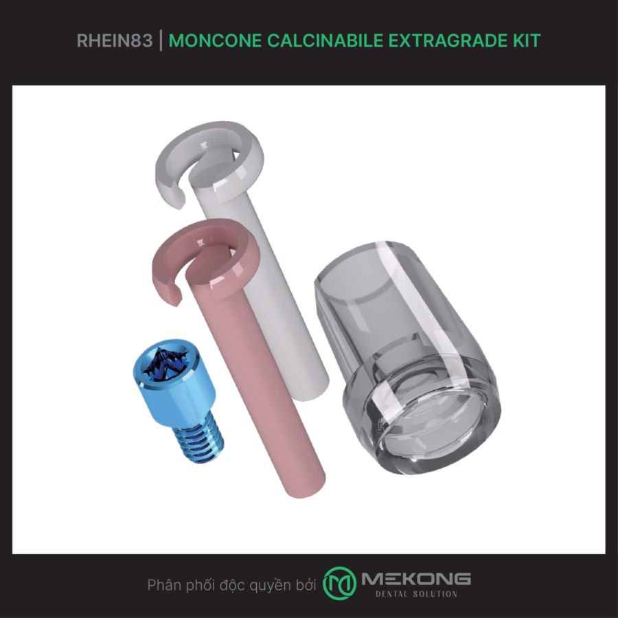 Fixed Prosthesis OT Bridge RHEIN83 | Moncone Calcinabile Extragrade Kit