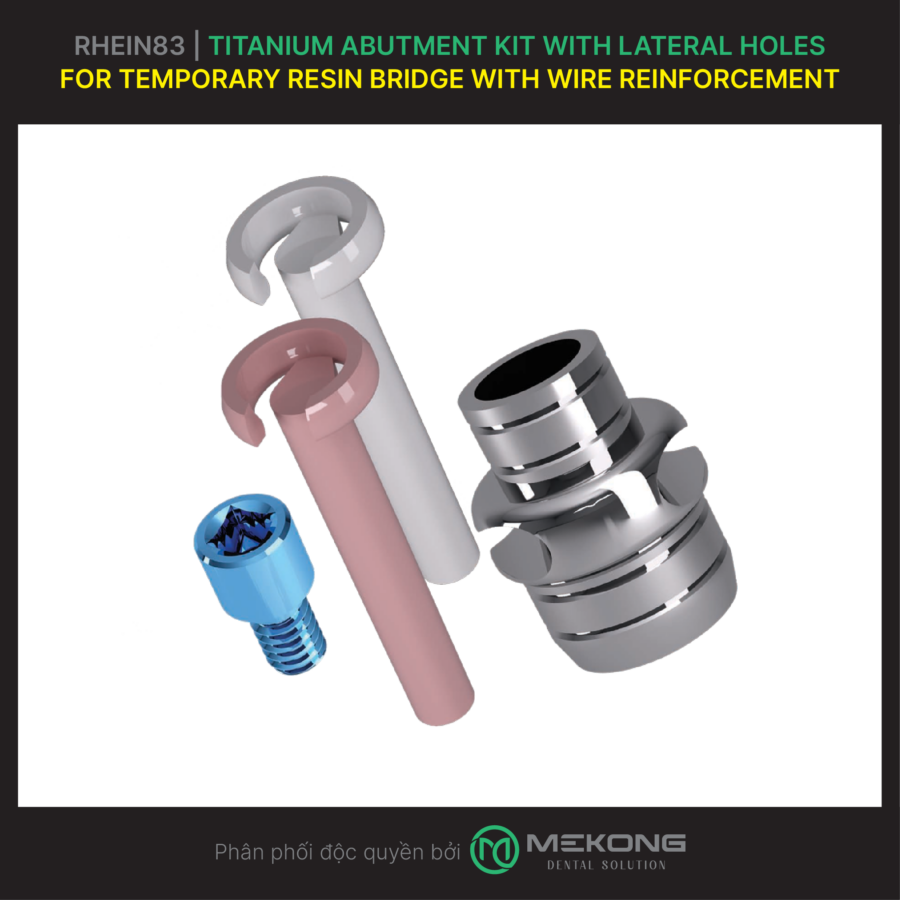 Fixed Prosthesis OT Bridge RHEIN83 | Titanium Abutment Kit with lateral holes