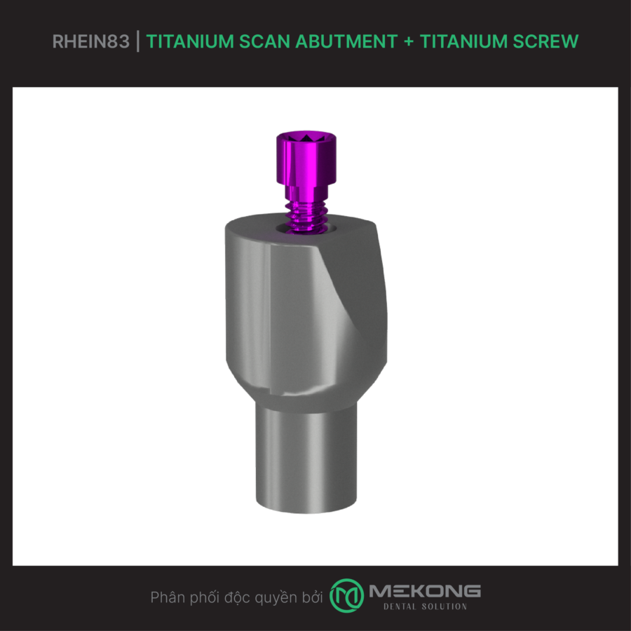 Fixed Prosthesis OT Bridge RHEIN83 | Titanium Scan Abutment + Titanium screw