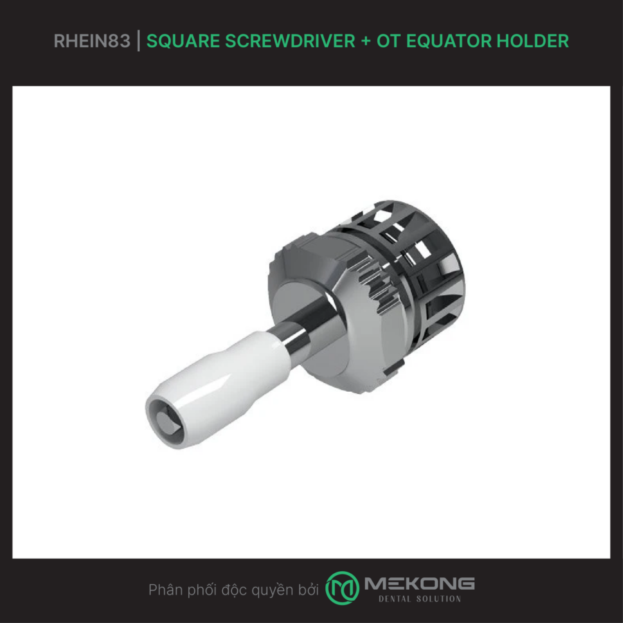 Fixed Prosthesis OT Bridge RHEIN83 | Square screwdriver + OT Equator Holder