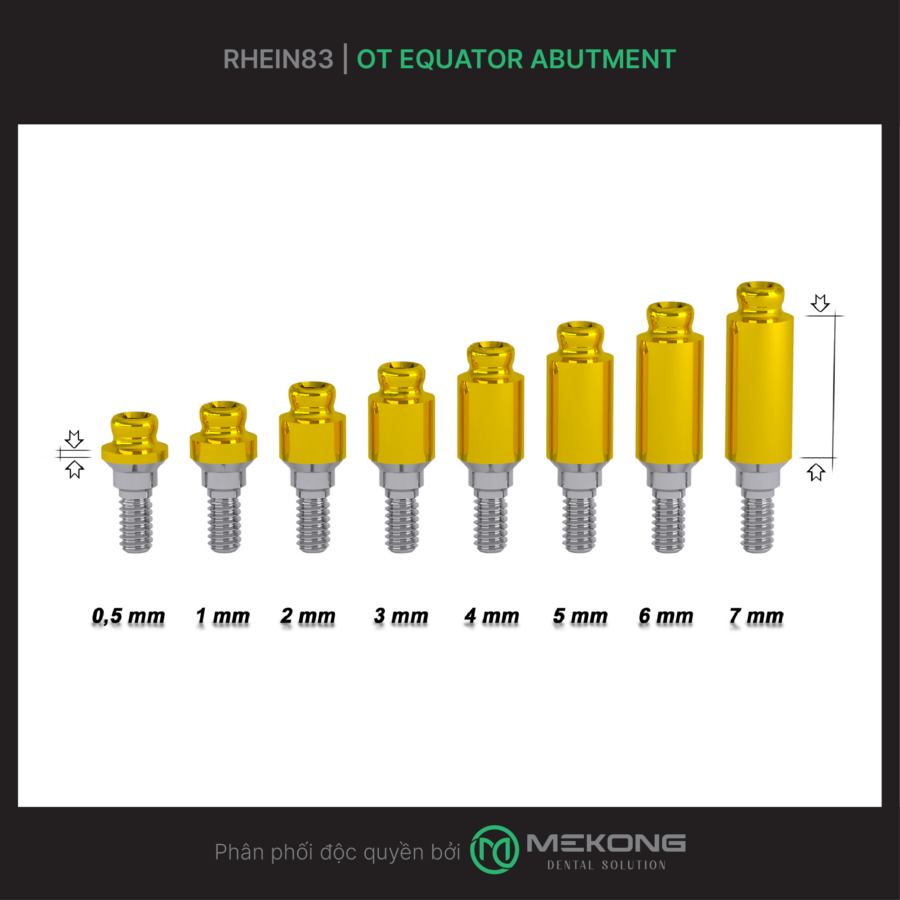 Giải pháp phục hình implant toàn hàm RHEIN83 | OT Equator Abutment