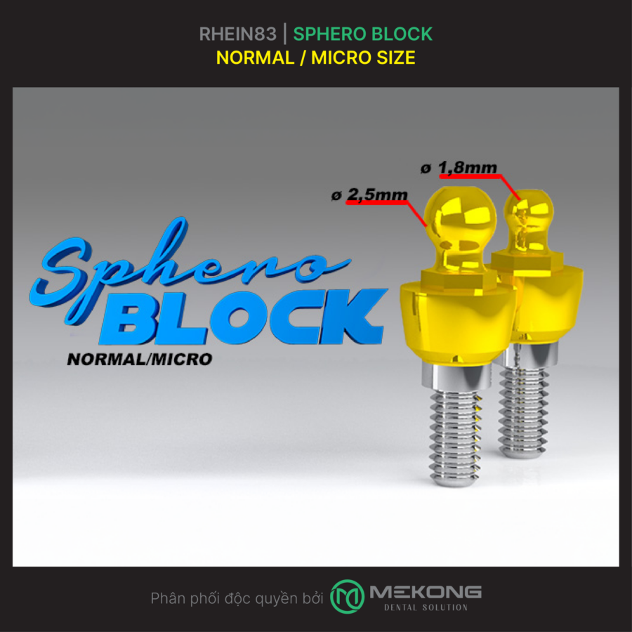 Giải pháp phục hình implant toàn hàm RHEIN83 | Sphero Block