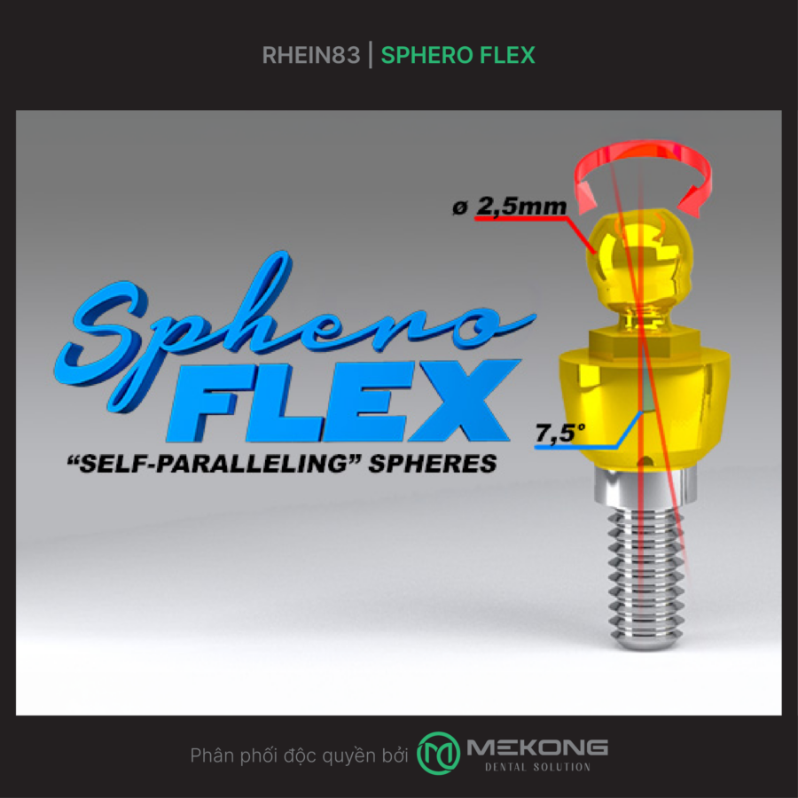 Giải pháp phục hình implant toàn hàm RHEIN83 | Sphero Flex