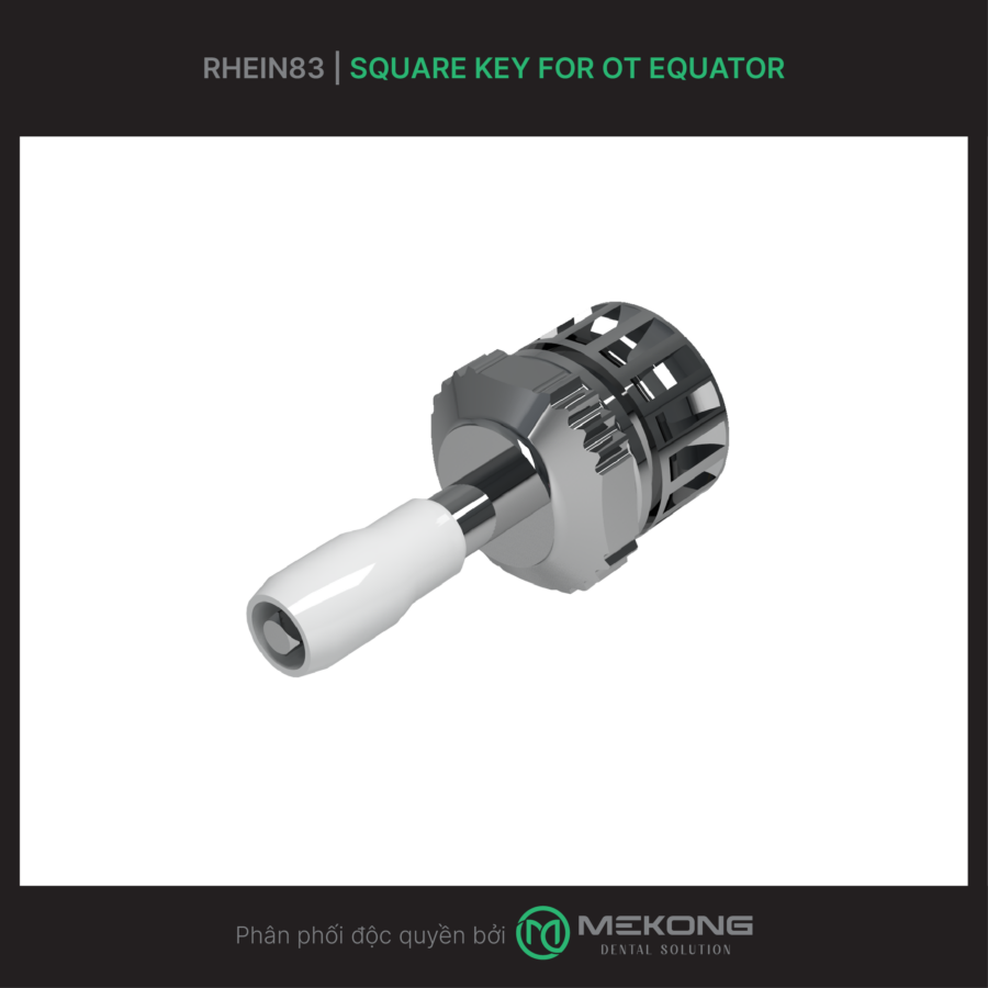 Dụng cụ và Phụ kiện RHEIN83 | Square key for OT Equator