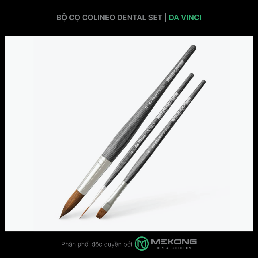 Cọ labo Da Vinci DA VINCI | Bộ cọ Colineo Dental Set